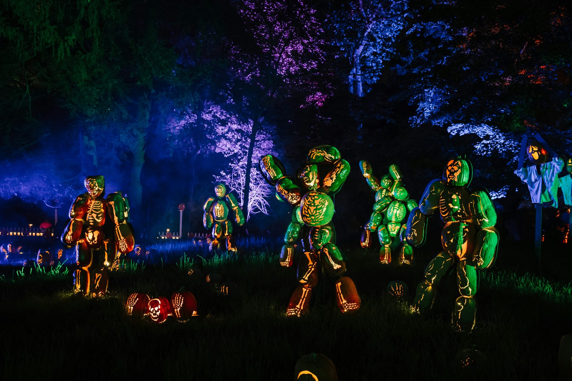 world of warcraft influencer marketing