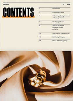 Top Luxury and Premium Brands on TikTok Report Contents