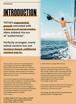 Top Luxury and Premium Brands on TikTok Report Intro